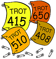 Turkey Trot Bib Numbers