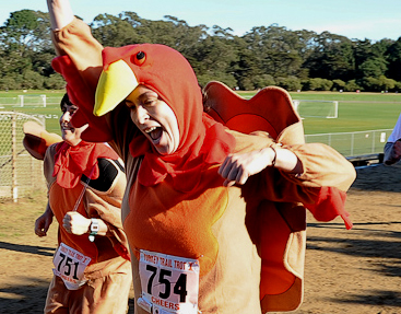 two-turkeys-running4.jpg (165035 bytes)